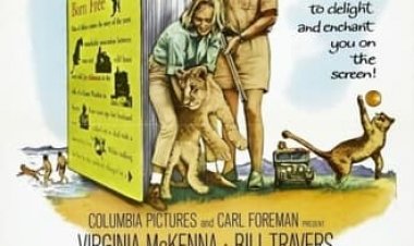 לחופש נולדה כתובית | Born Free Subtitle