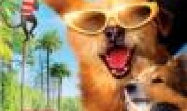 דוקטור דוליטל: לאקי שווה מיליונים כתובית | Dr. Dolittle Million Dollar Mutts Subtitle