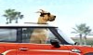 מרמדיוק כתובית | Marmaduke Subtitle