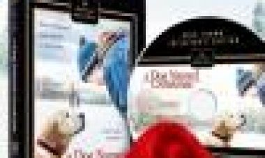 כלב בשם חג המולד כתובית | A Dog Named Christmas Subtitle