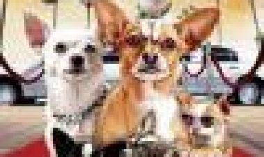 הצ'יוואווה מבוורלי הילס 2 כתובית | Beverly Hills Chihuahua 2 Subtitle