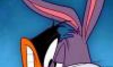 המופע של לוני טונס עונה 1 כתובית | The Looney Tunes Show Season 1 Subtitle