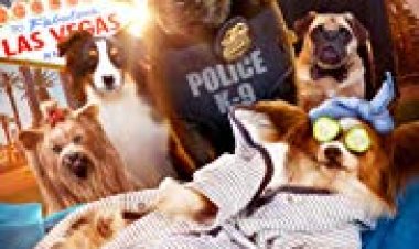 מילה של כלב כתובית | Show Dogs Subtitle