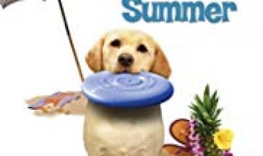 הכלב שהציל את הקיץ כתובית | The Dog Who Saved Summer Subtitle