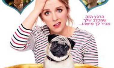 אהבה וכשכושים אחרים כתובית | Patrick Subtitle