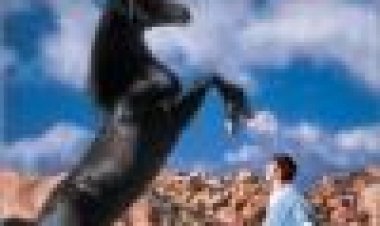 הסייח השחור חוזר כתובית | The Black Stallion Returns Subtitle