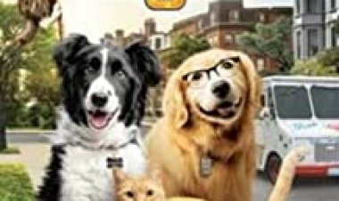 כלבים נגד חתולים 3 : יחידת הכפות כתובית | Cats and Dogs 3: Paws Unite Subtitle