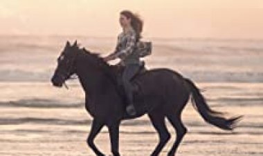 ביוטי השחורה כתובית | Black Beauty Subtitle