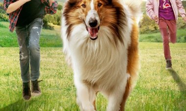 לאסי שובי הביתה כתובית | Lassie - Eine abenteuerliche Reise Subtitle