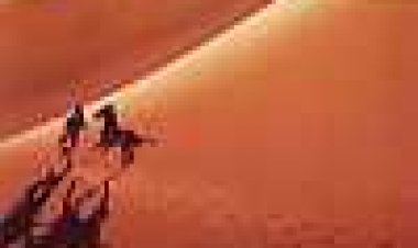 לרוץ חופשי כתובית | Running Free Subtitle