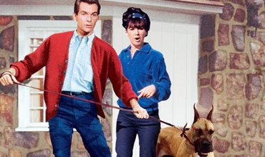 התחש המכוער כתובית | The Ugly Dachshund Subtitle