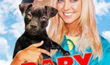 גור הבולדוג כתובית | Baby Bulldog Subtitle