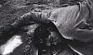 אורפאוס כתובית | Orphee Subtitle