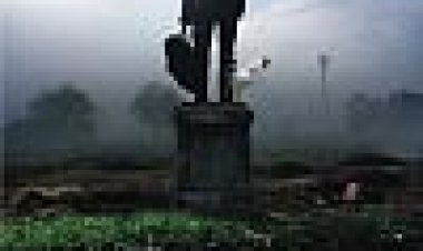 Strigoi: מתים כתובית | Strigoi: The Undead Subtitle