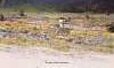 החלומות של אקירה קורסאווה כתובית | Dreams / Yume Subtitle