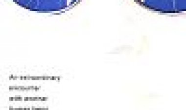 אבקה כתובית | Powder Subtitle