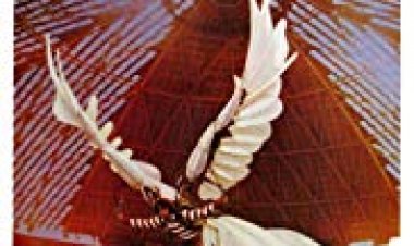 ברוסטר מקלאוד כתובית | Brewster McCloud Subtitle