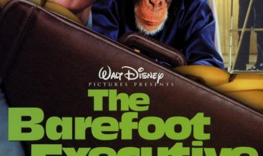 קוף קובע בטלוויזיה כתובית | The Barefoot Executive Subtitle