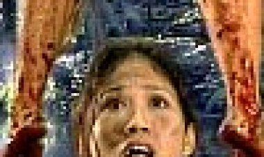 אנימה פרס כתובית | Anime Perse Subtitle