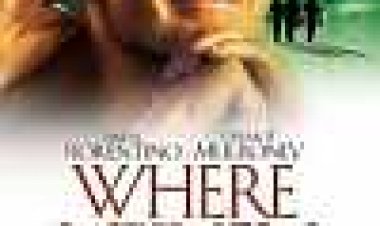 כסף קל כתובית | Where The Money Is Subtitle