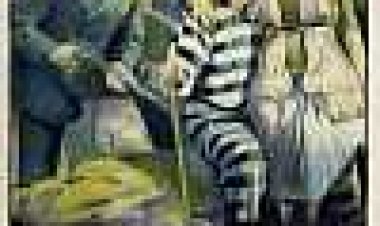 אסיר מספר 13 כתובית | Convict 13 Subtitle