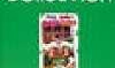 ההרפתקאה של מרי-קייט ואשלי:מקרה קפיצת חג המולד כתובית | The Adventures Of Mary-Kate & Ashley: The Case Of The Christmas Caper Subtitle