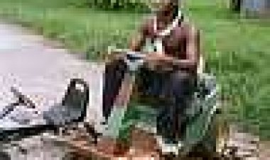 עוף האלומיניום כתובית | The Aluminum Fowl Subtitle