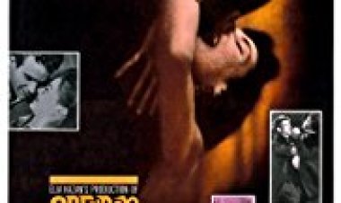 זוהר בדשא כתובית | Splendor In The Grass Subtitle