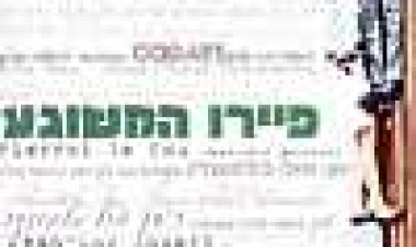 פיירו המשוגע כתובית | Pierrot Le Fou Subtitle