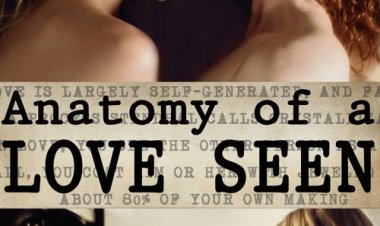 Anatomy of a Love Seen כתובית | Anatomy of a Love Seen Subtitle
