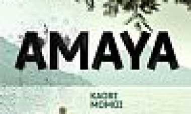 הונג קונג סודי כתובית | Amaya Subtitle