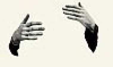 הלובסטר כתובית | The Lobster Subtitle