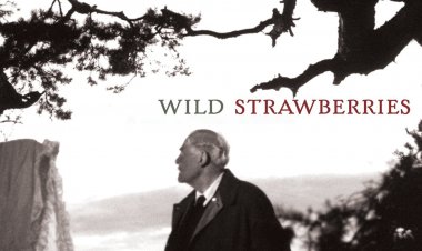 תותי בר כתובית | Wild Strawberries Subtitle