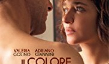 צבעי האהבה כתובית | Il colore nascosto delle cose Subtitle