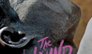 הפצע כתובית | The Wound / Inxeba Subtitle