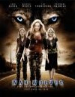 מלחמת זאבים כתובית | War Wolves Subtitle