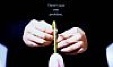 מאיזה כוכב אתה? כתובית | What Planet Are You From? Subtitle