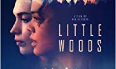 ליטל וודס כתובית | Little Woods Subtitle