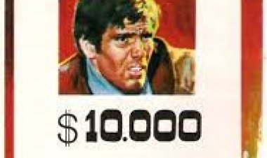 המבוקש כתובית | Wanted Subtitle