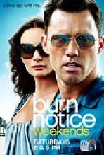 סוכן מחוק עונה 5 כתובית | Burn Notice Season 5 Subtitle