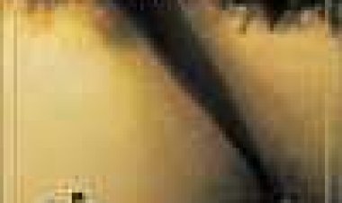 טוויסטר כתובית | Twister Subtitle