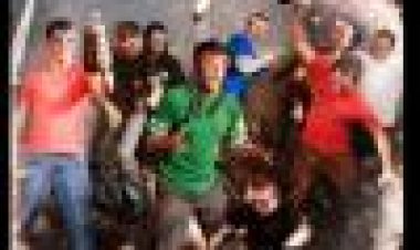 ג'קאס 3.5 כתובית | Jackass 3.5 Subtitle