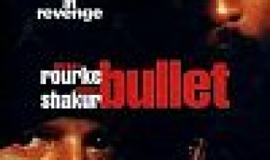 בולט כתובית | Bullet Subtitle