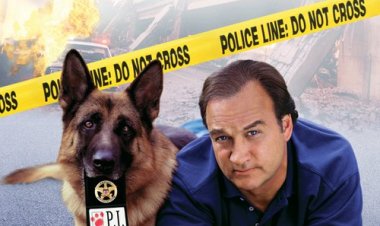 בלשים על 4 כתובית | K-9: P.I. Subtitle