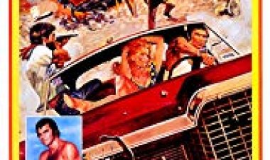 מפקח מקלסקי כתובית | White Lightning Subtitle